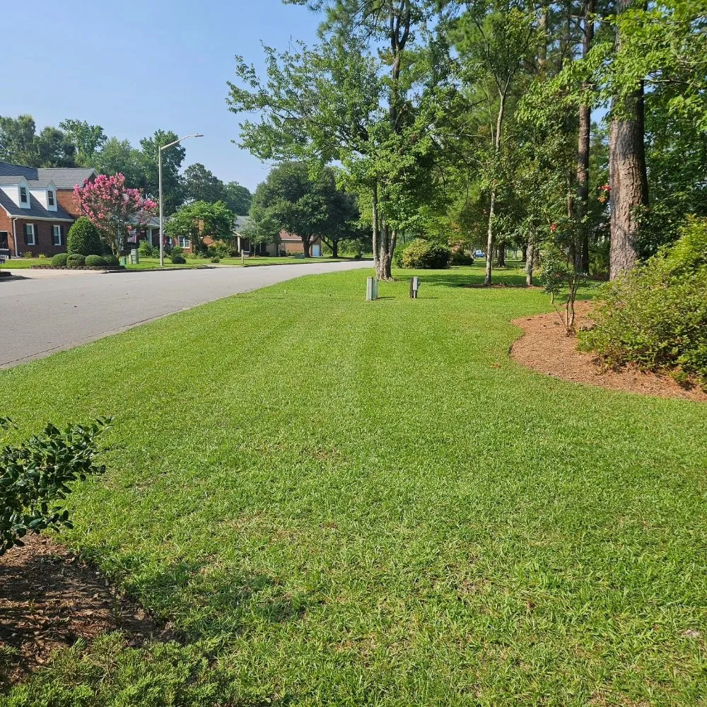 Local landscaping services in New Bern, NC - Premier Lawns of New Bern