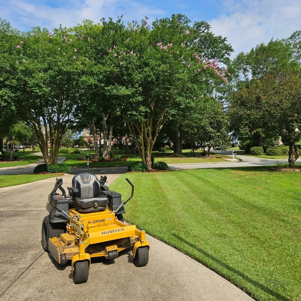 Local lawn care service for beautiful yards in New Bern, NC by Premier Lawns of New Bern