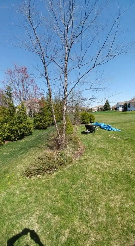 Reliable garden landscaping experts serving Fort Wayne, IN - Premier Lawnscapes