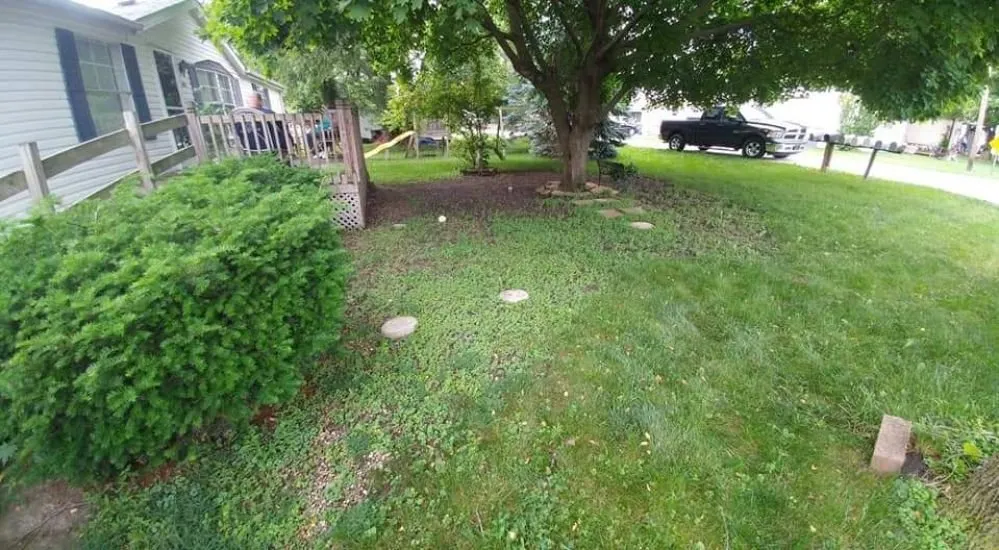 Trusted lawn mowing service in Fort Wayne, IN by Premier Lawnscapes