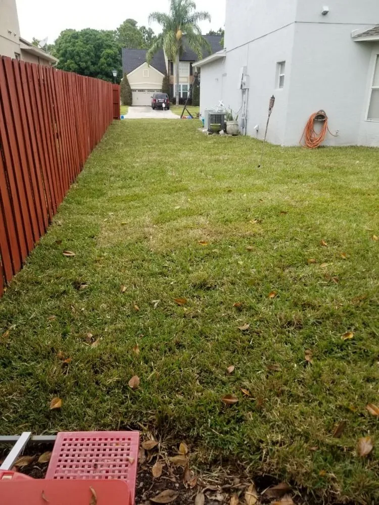 Professional residential landscaping experts serving Belle Isle, FL - Premier Lawnscaping