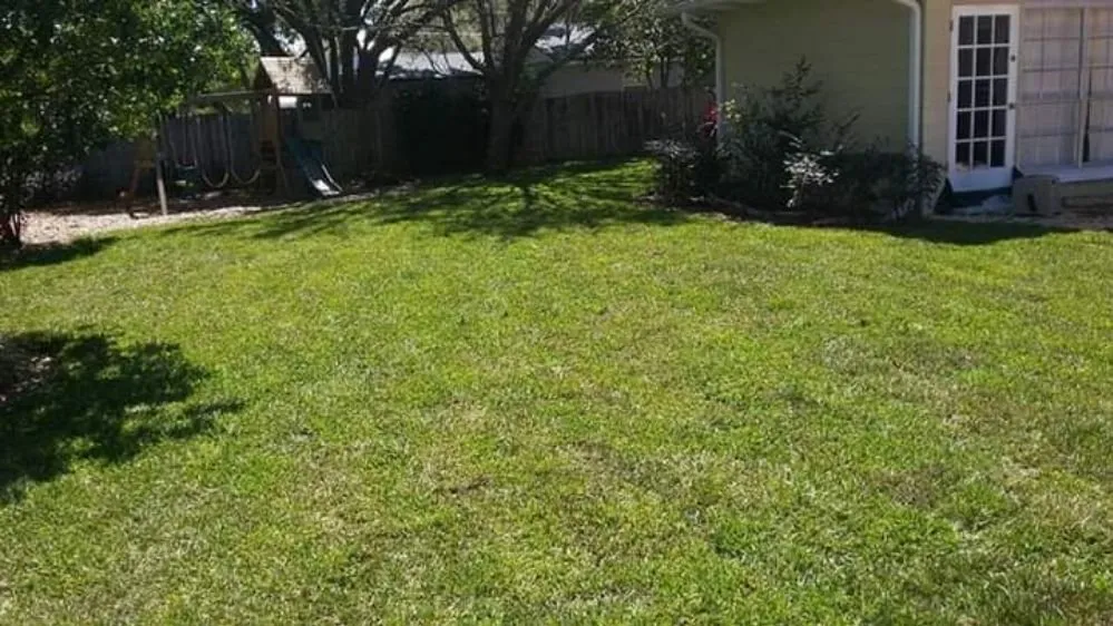 Trusted landscaping services in Belle Isle, FL - Premier Lawnscaping