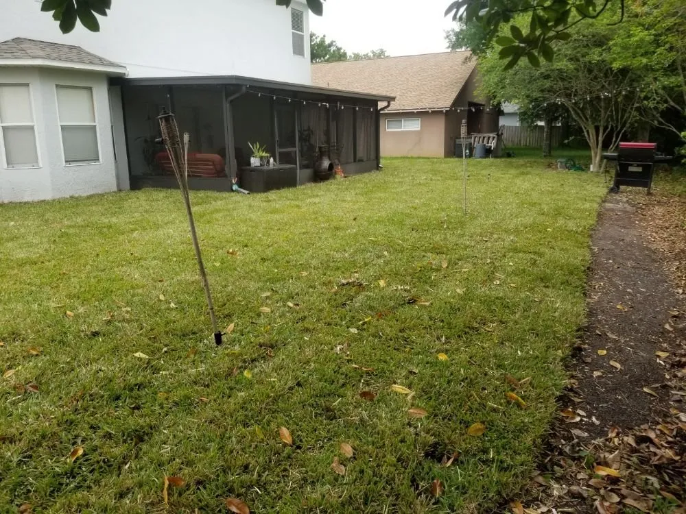 Professional residential landscaping experts serving Belle Isle, FL - Premier Lawnscaping