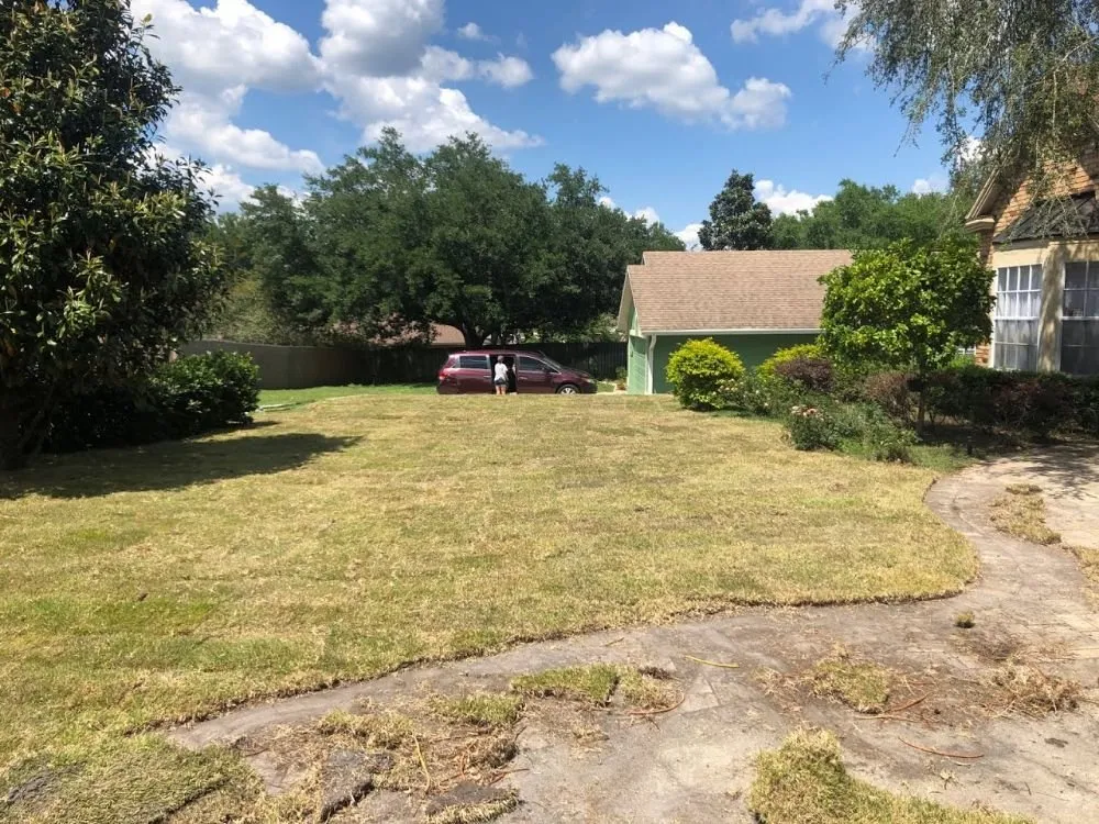 Top-rated landscaping services in Belle Isle, FL - Premier Lawnscaping