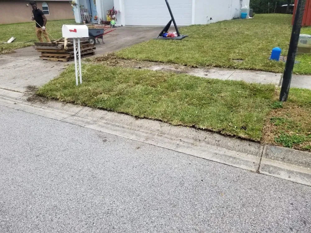 Affordable yard cleanup service experts serving Belle Isle, FL - Premier Lawnscaping