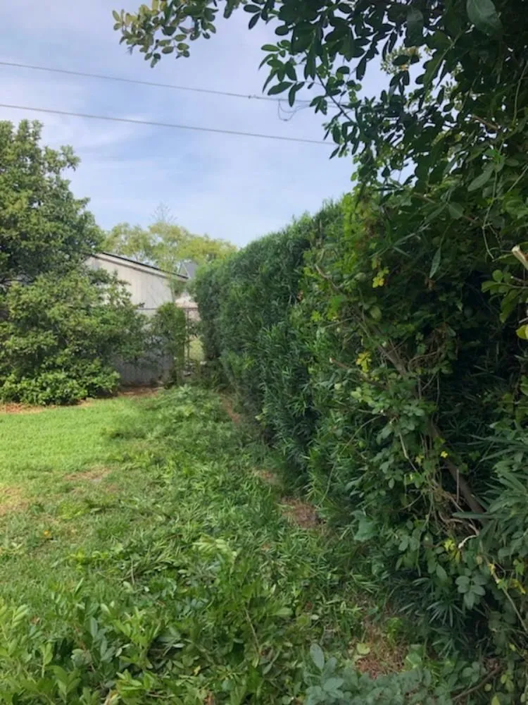 Local yard cleanup service for beautiful yards in Belle Isle, FL by Premier Lawnscaping