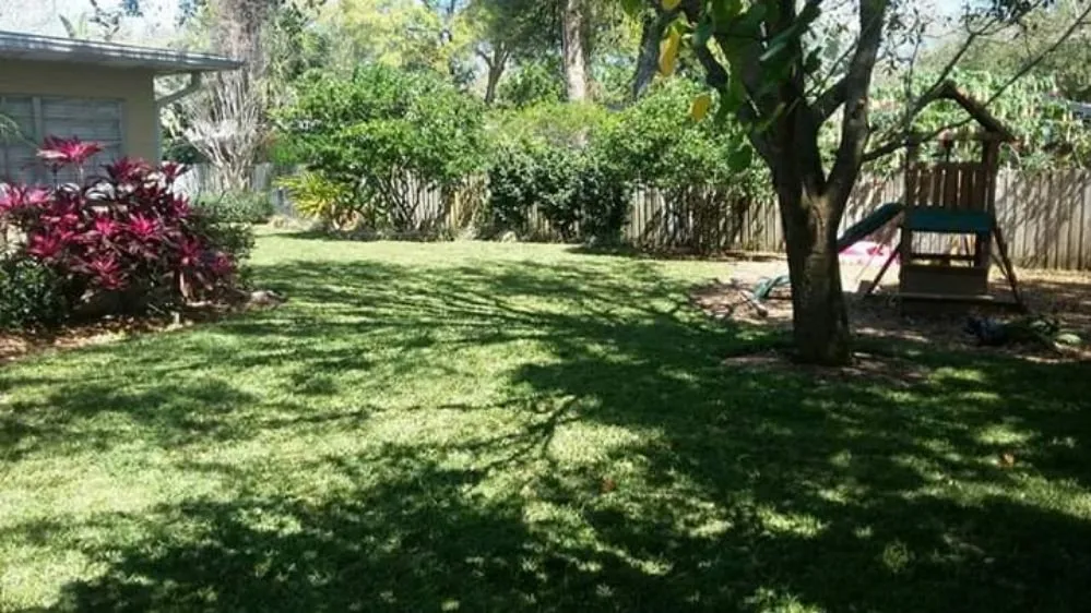 Affordable landscaping services for beautiful yards across Belle Isle, FL - Premier Lawnscaping