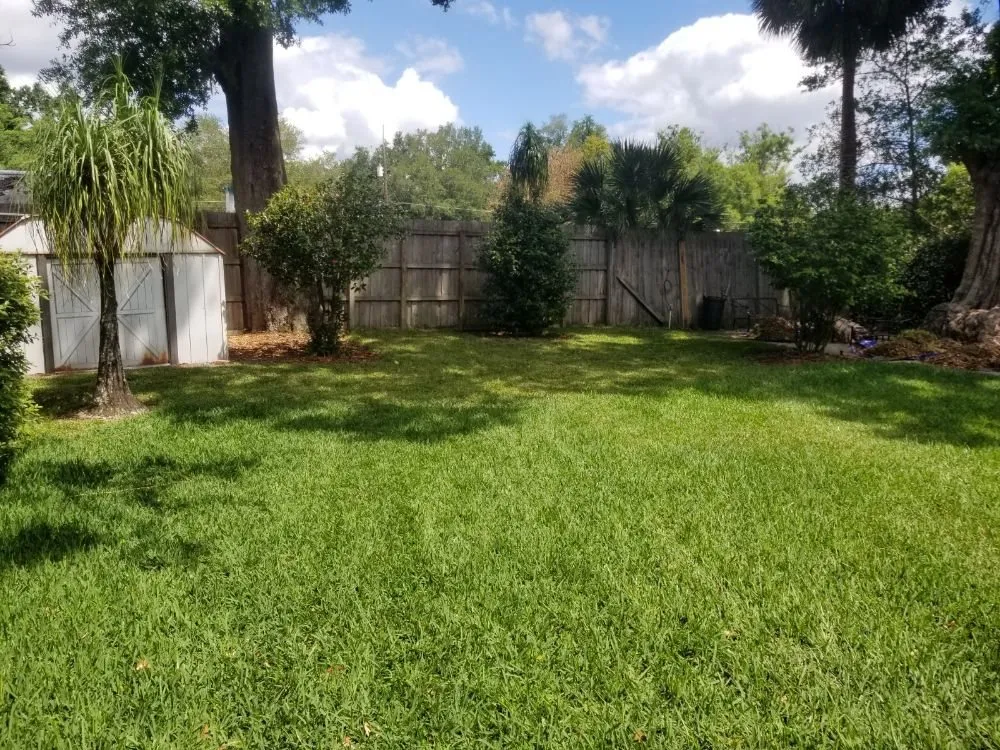 Trusted yard cleanup service for year-round maintenance across Belle Isle, FL - Premier Lawnscaping