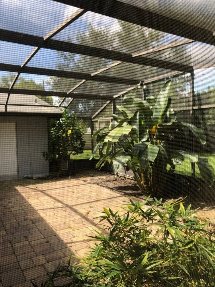 Professional lawn mowing service experts serving Belle Isle, FL - Premier Lawnscaping