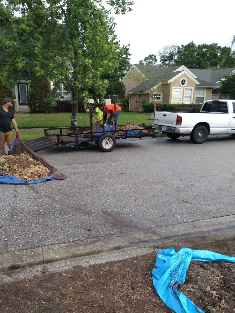 Top-rated lawn care service in Belle Isle, FL - Premier Lawnscaping