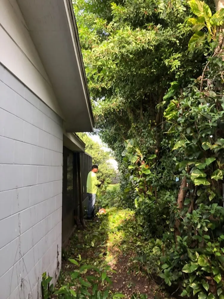 Custom landscape design in Belle Isle, FL by Premier Lawnscaping