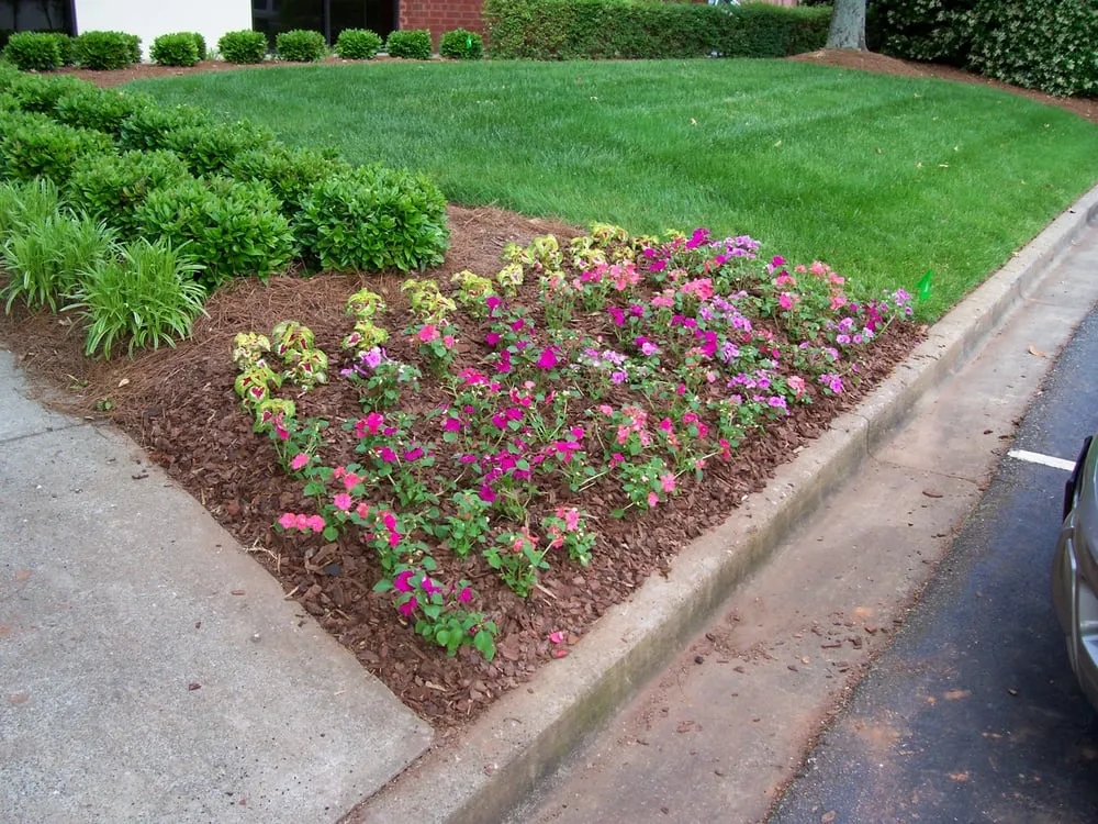Local lawn care service in Winder, GA - Premier Maintenance