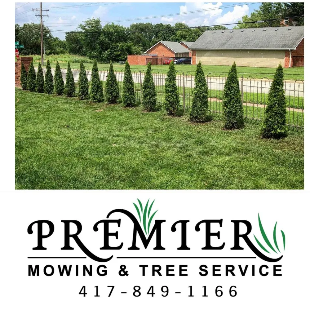 Custom yard maintenance in Ozark, MO - Premier Mowing & Tree Service