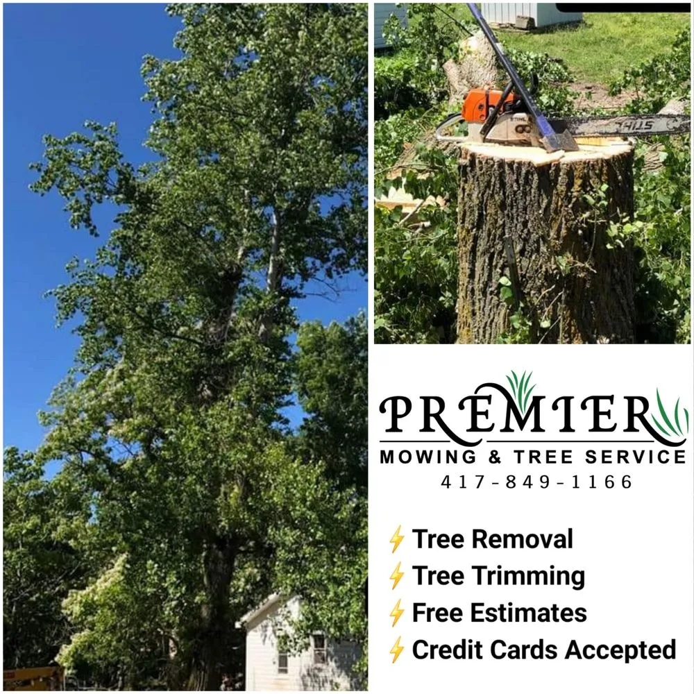 Trusted lawn mowing service with custom design in Ozark, MO by Premier Mowing & Tree Service