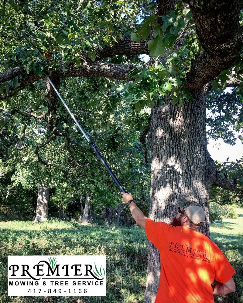 Affordable yard cleanup service experts serving Ozark, MO - Premier Mowing & Tree Service