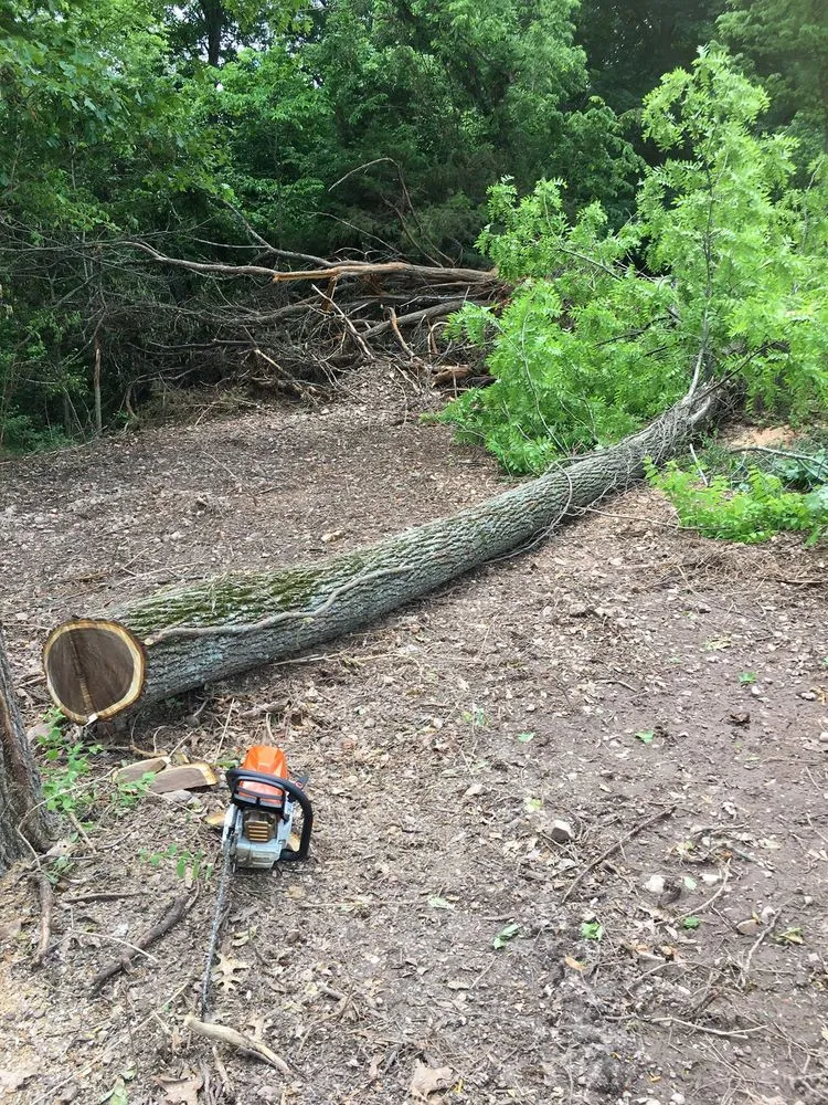 Trusted lawn care service for homes across Ozark, MO - Premier Mowing & Tree Service