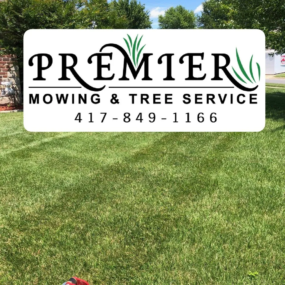 Expert yard cleanup service for homes in Ozark, MO by Premier Mowing & Tree Service