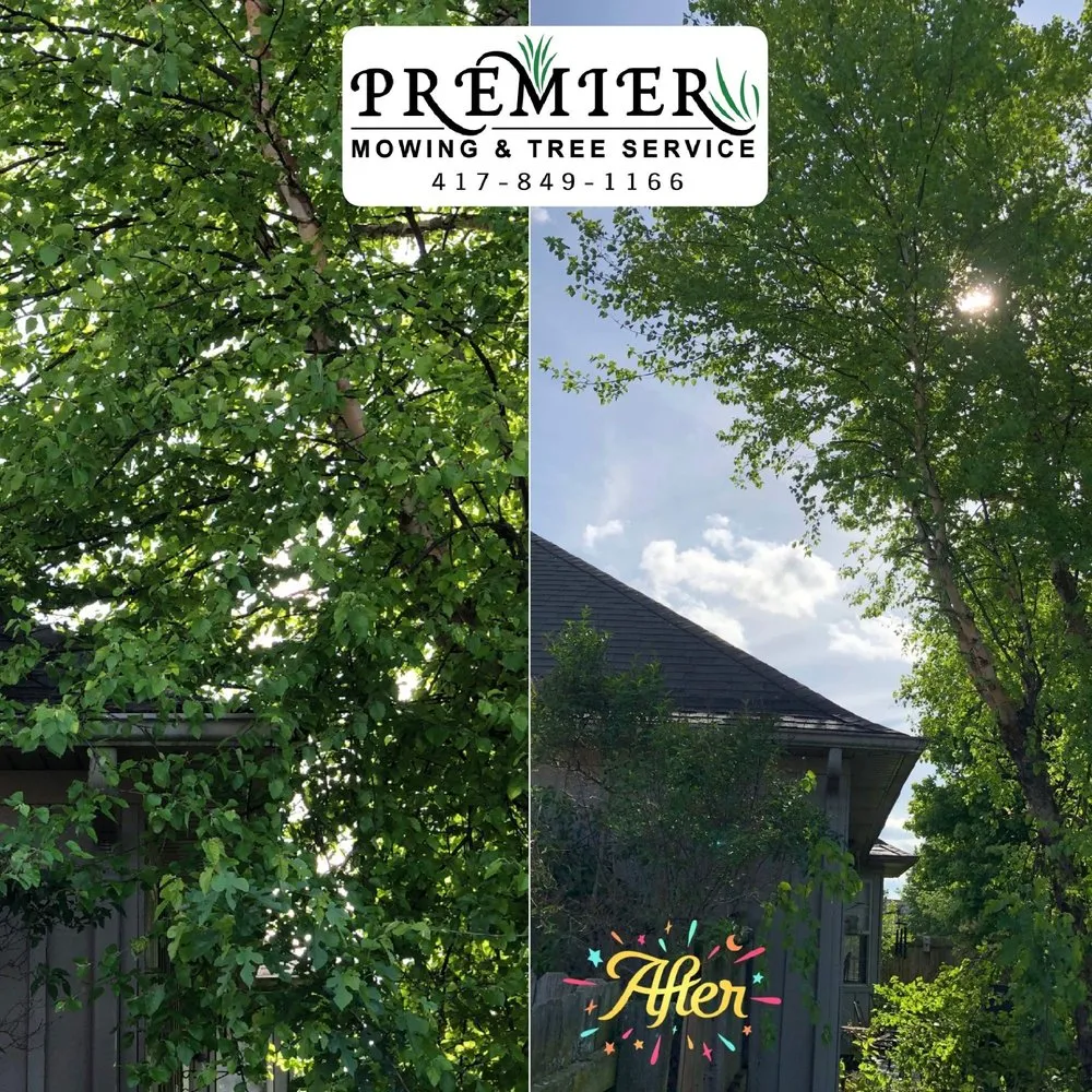 Trusted outdoor landscaping near you in Ozark, MO by Premier Mowing & Tree Service