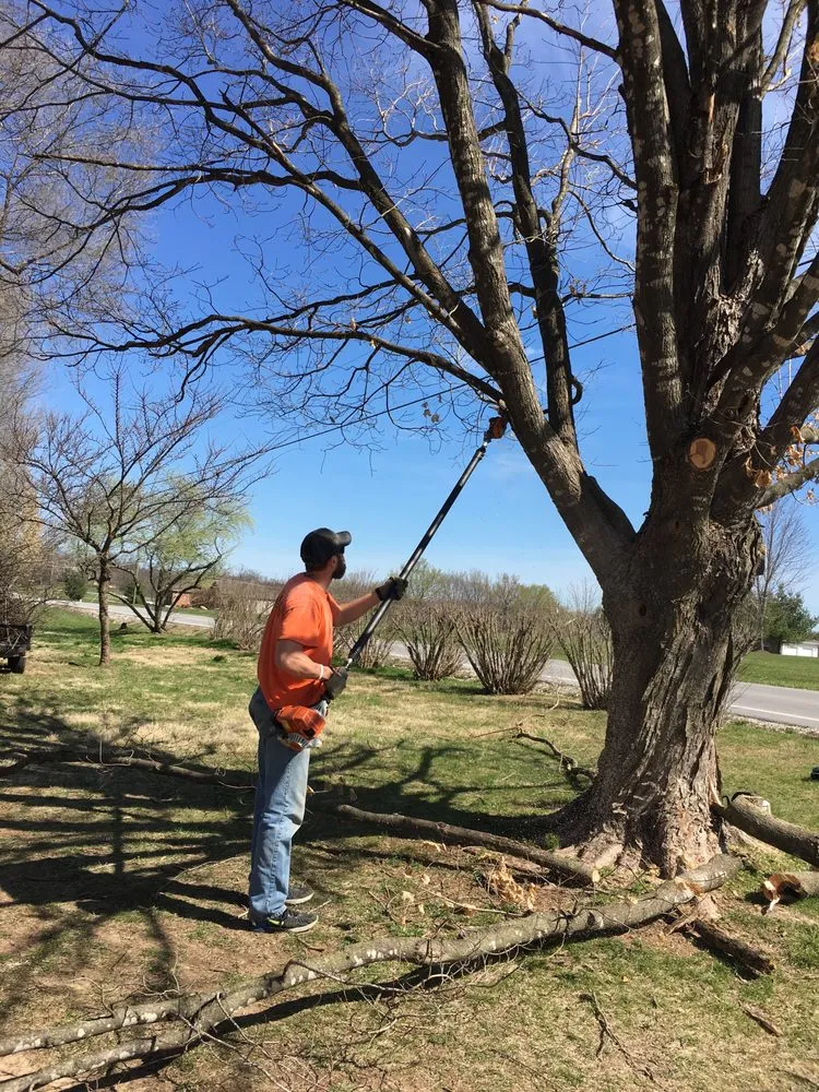 Top-rated lawn care service experts serving Ozark, MO - Premier Mowing & Tree Service