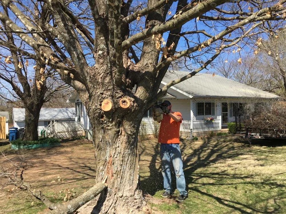 Local landscaping services in Ozark, MO by Premier Mowing & Tree Service