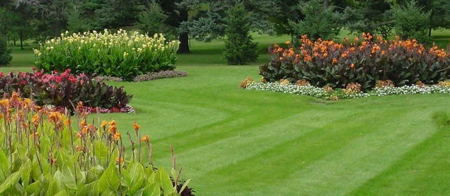 Custom yard cleanup service in Ozark, MO - Premier Mowing & Tree Service