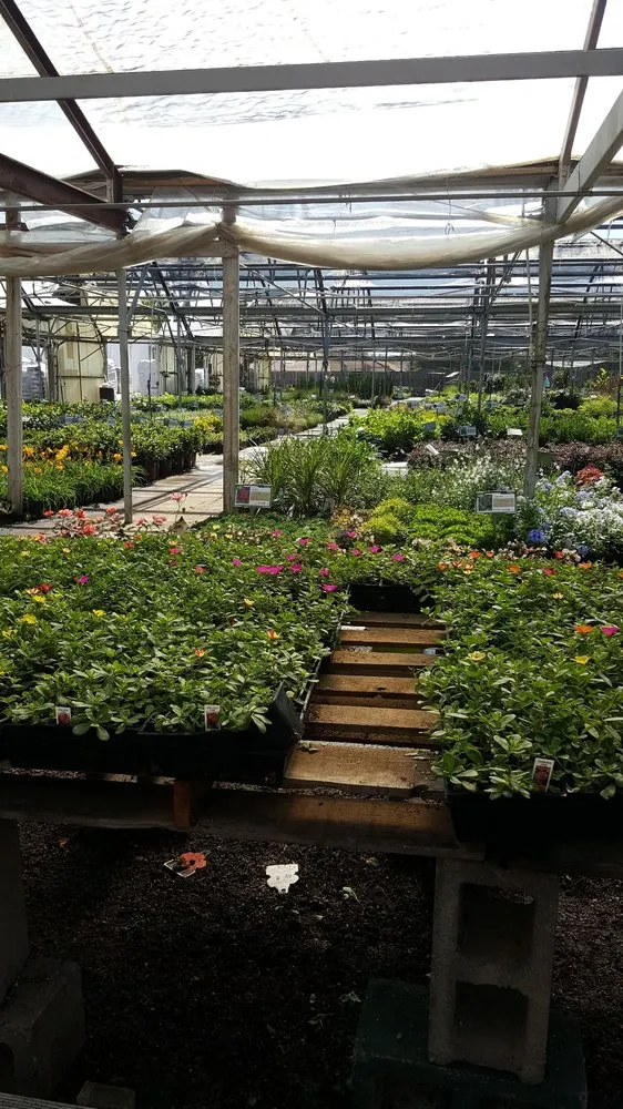 Top-rated yard cleanup service experts serving Euless, TX - Premier Nursery