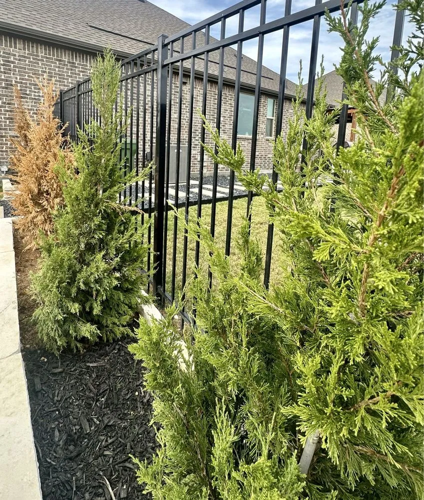 Trusted yard cleanup service experts serving Euless, TX - Premier Nursery