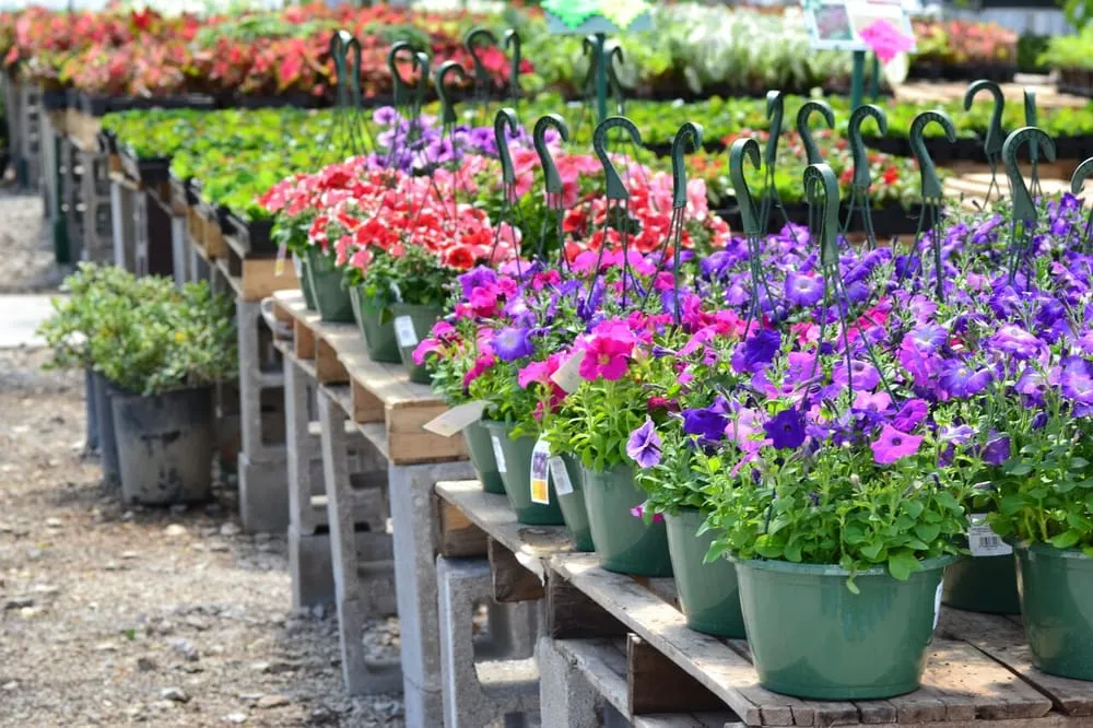 Trusted outdoor landscaping in Euless, TX - Premier Nursery