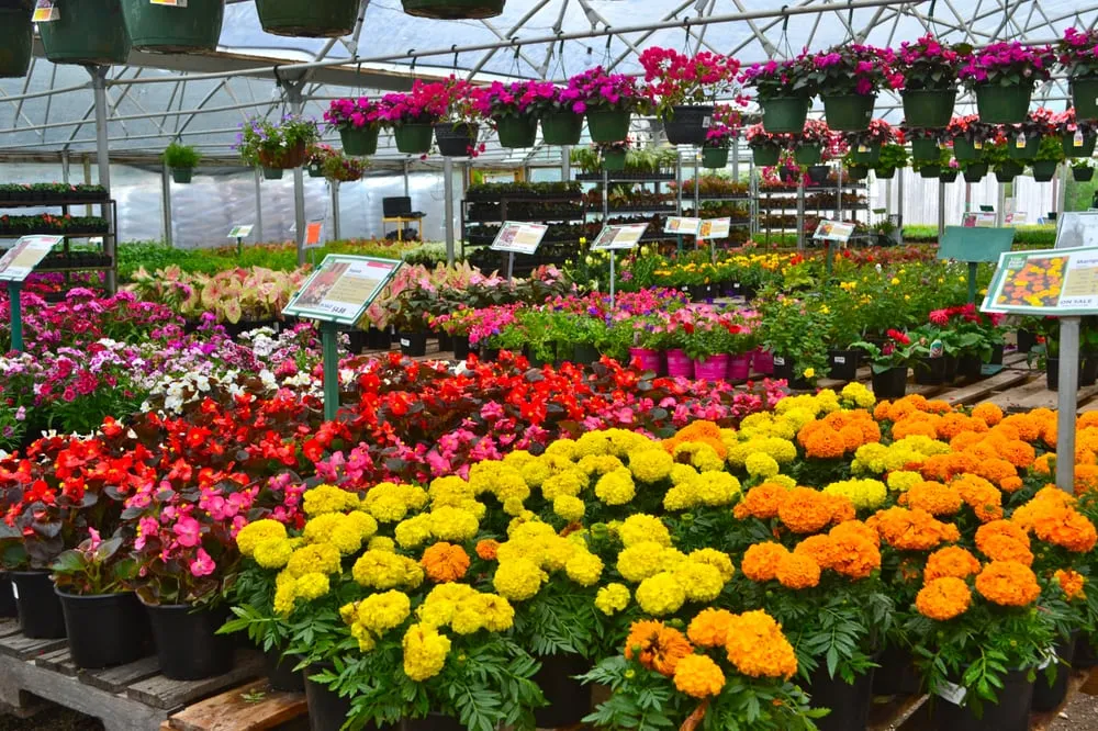 Top-rated lawn care service for homes in Euless, TX by Premier Nursery