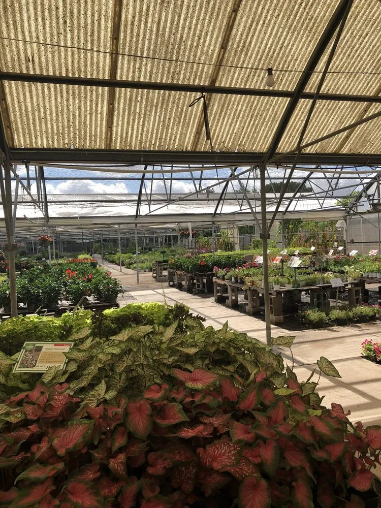 Affordable landscaping services in Euless, TX by Premier Nursery