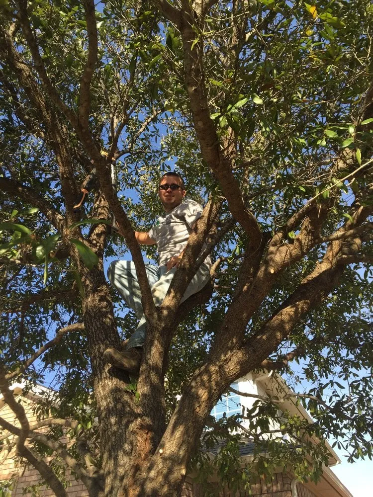 Top-rated lawn mowing service near you in Fort Worth, TX by Premier Oaks Landscape Management