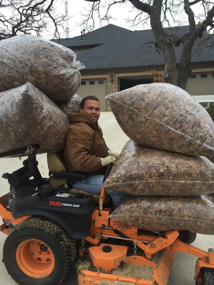 Reliable landscape design in Fort Worth, TX by Premier Oaks Landscape Management