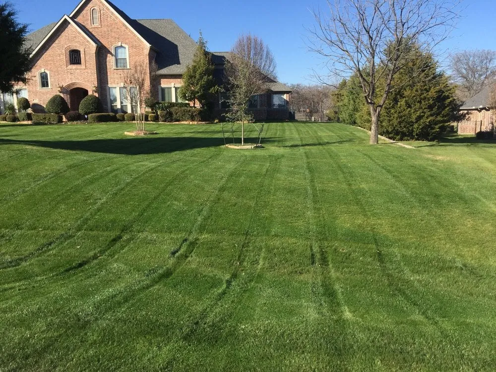 Trusted lawn mowing service in Fort Worth, TX - Premier Oaks Landscape Management