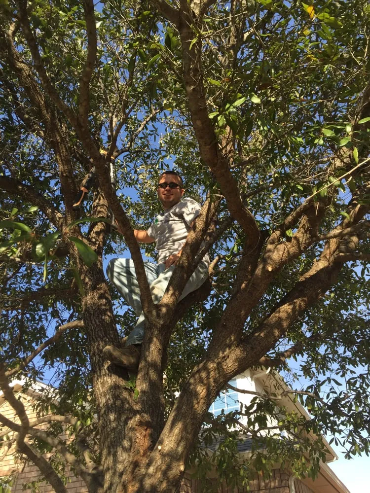 Reliable lawn mowing service for beautiful yards in Fort Worth, TX by Premier Oaks Landscape Management