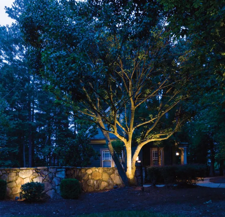 Affordable garden landscaping for outdoor upgrades in Brea, CA by Premier Outdoor Builders