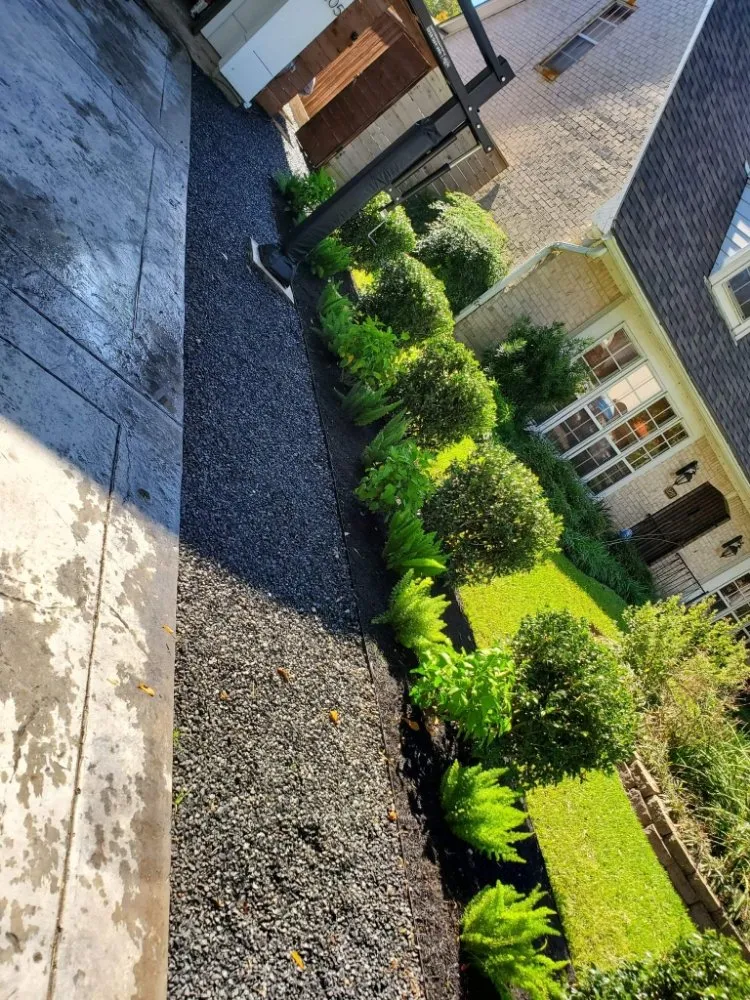 Professional lawn care service for beautiful yards across Houston, TX - Premier Outdoor Solutions