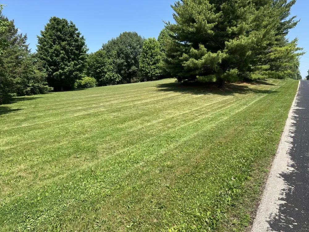 Affordable yard cleanup service for year-round maintenance in Footville, WI by Premier Outdoors