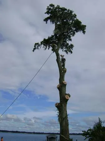 Local residential landscaping in Alexander City, AL by Premier Outdoors Landscape & Design