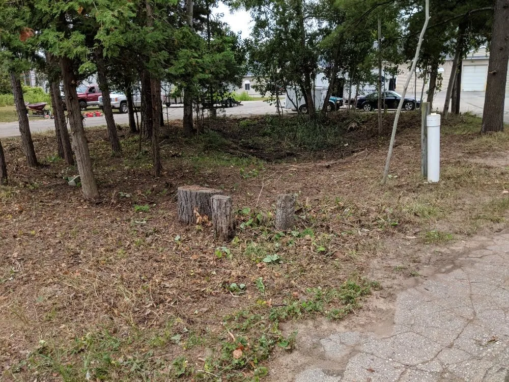 Trusted landscaping services for beautiful yards in Traverse City, MI by Premier Outdoors