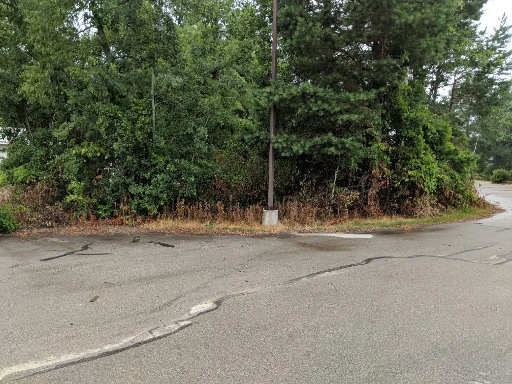 Affordable lawn care service in Traverse City, MI - Premier Outdoors