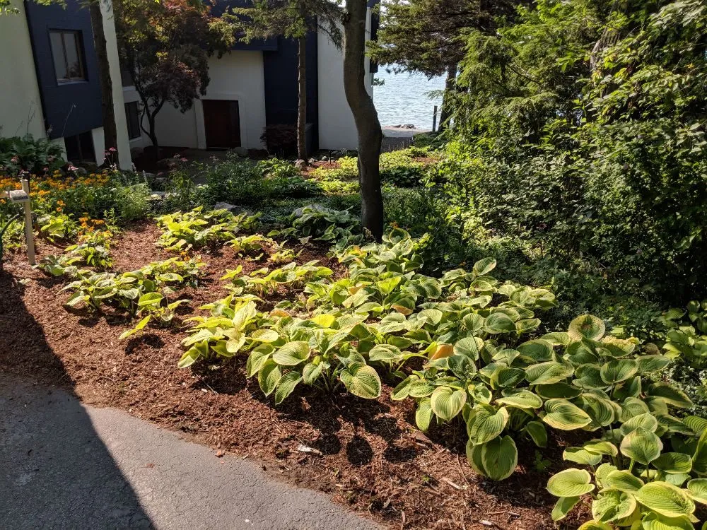 Local yard cleanup service for homes in Traverse City, MI by Premier Outdoors