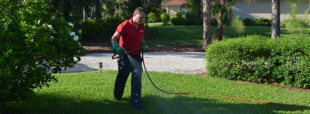 Local yard cleanup service with custom design in Naples, FL by Premier Pest Management