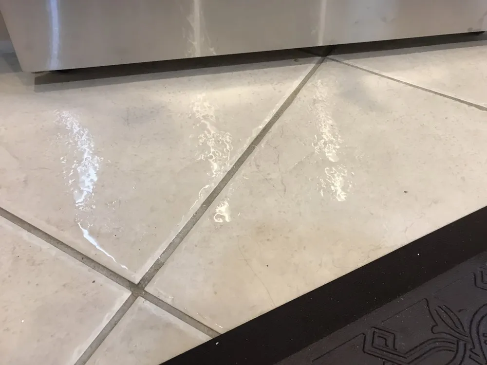 Professional landscaping services experts serving Naples, FL - Premier Pest Management