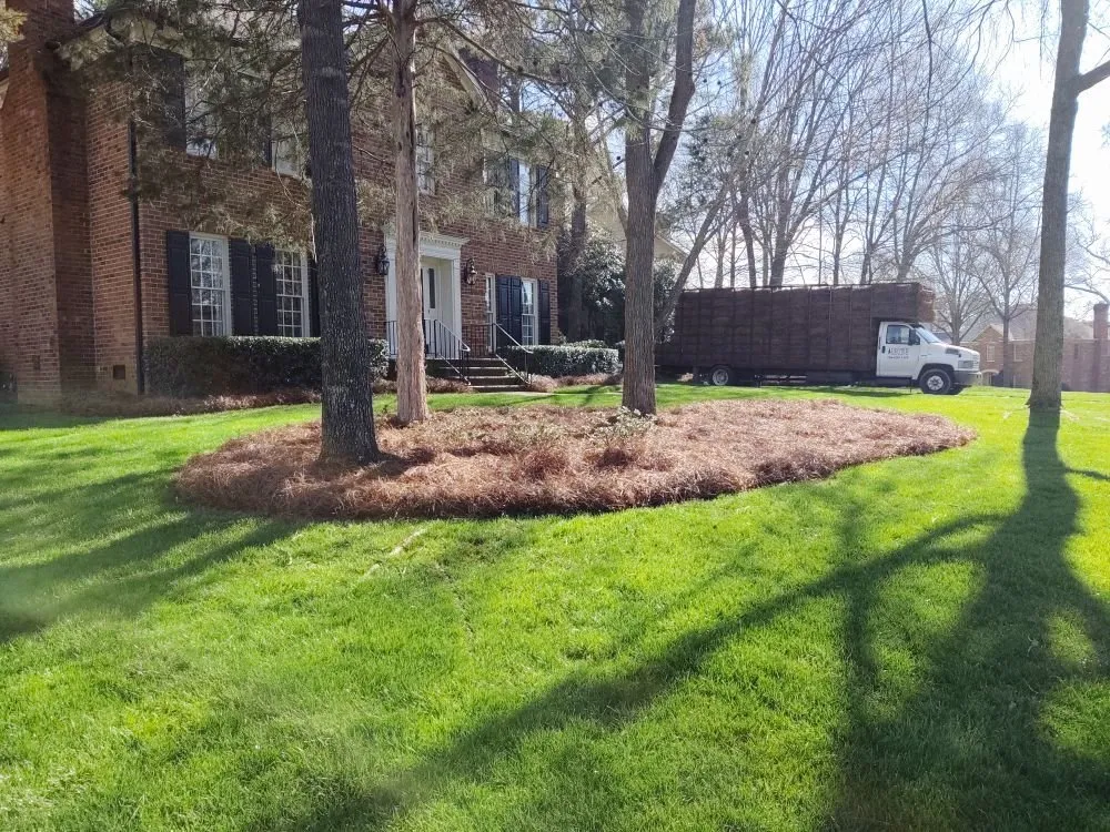 Professional yard cleanup service in Pageland, SC by Premier Pine Straw