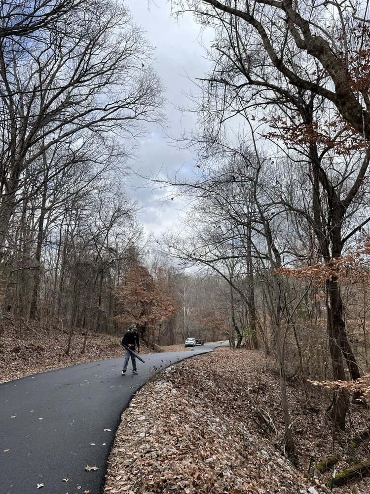 Top-rated residential landscaping for outdoor upgrades in Medina, TN by Premier Properties