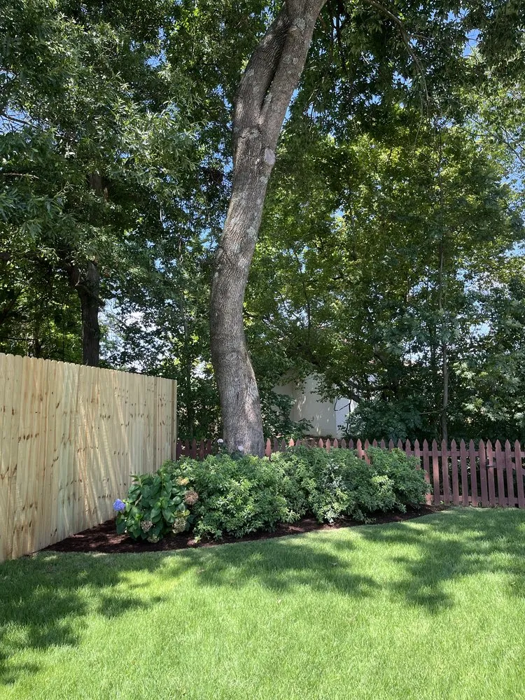 Reliable residential landscaping experts serving Medina, TN - Premier Properties