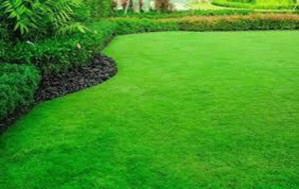 Professional landscaping services in Elkhorn, WI by Premier Property Maintenance