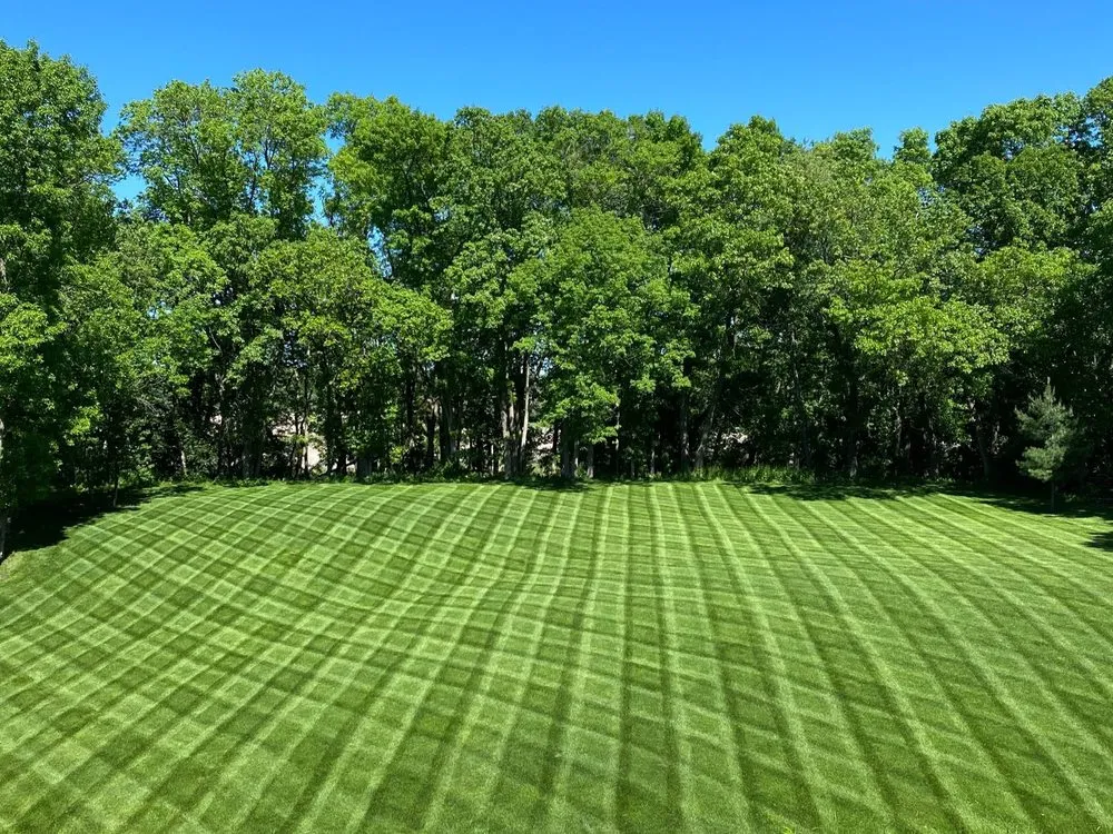 Expert landscape installation experts serving White Bear Lake, MN - Premier Property Maintenance