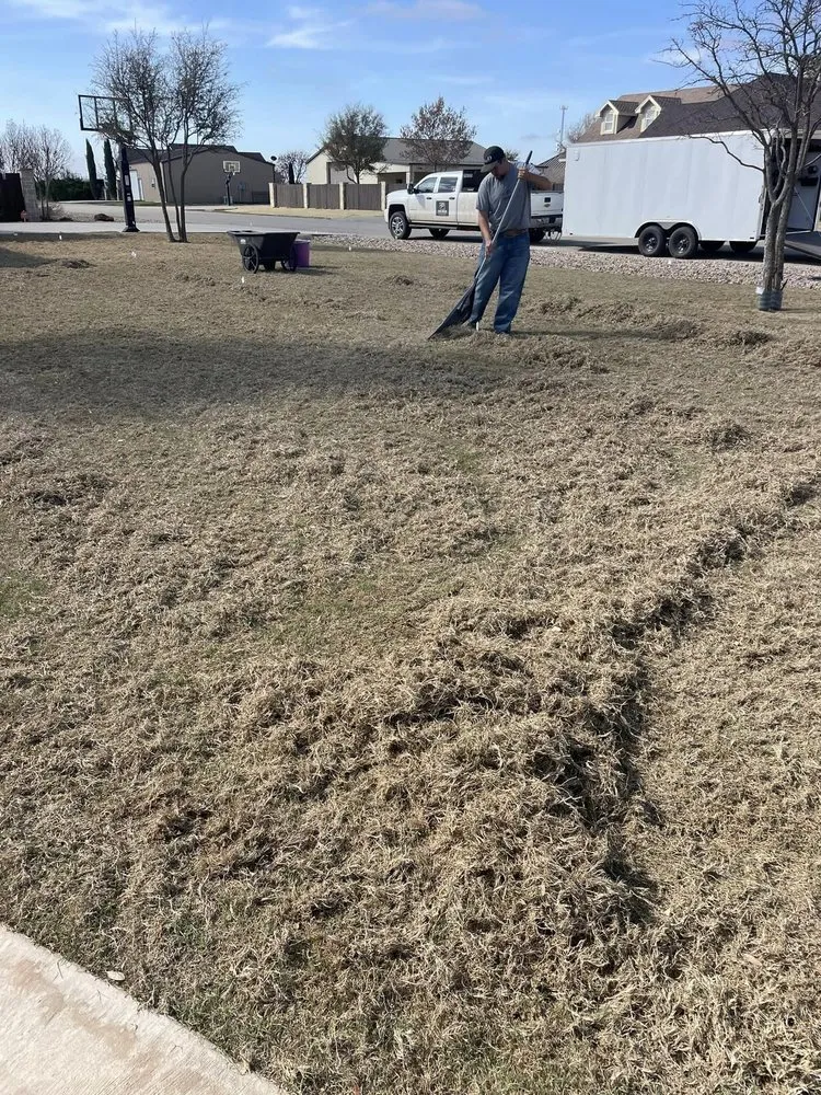 Reliable garden landscaping in San Angelo, TX by Premier Property Services