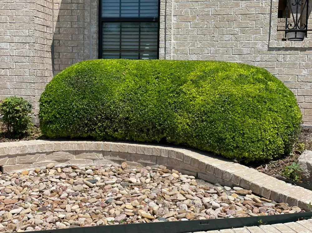 Trusted garden landscaping in San Angelo, TX - Premier Property Services